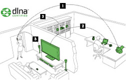 DLNA DLNA
