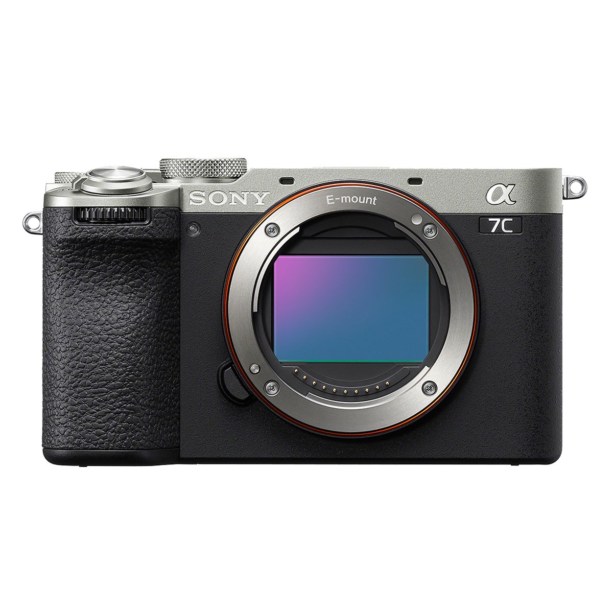 Interchangeable-lens Cameras | Sony India