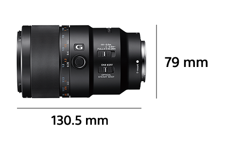 Sony 90mm Macro