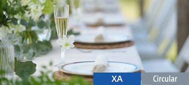 Example image showing a table setting with plates and a glass prepared